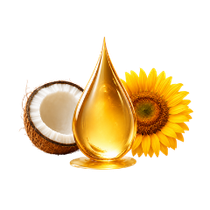 Ozonated Oil Pulling vs Coconut Oil: Which Supports Gums Better?