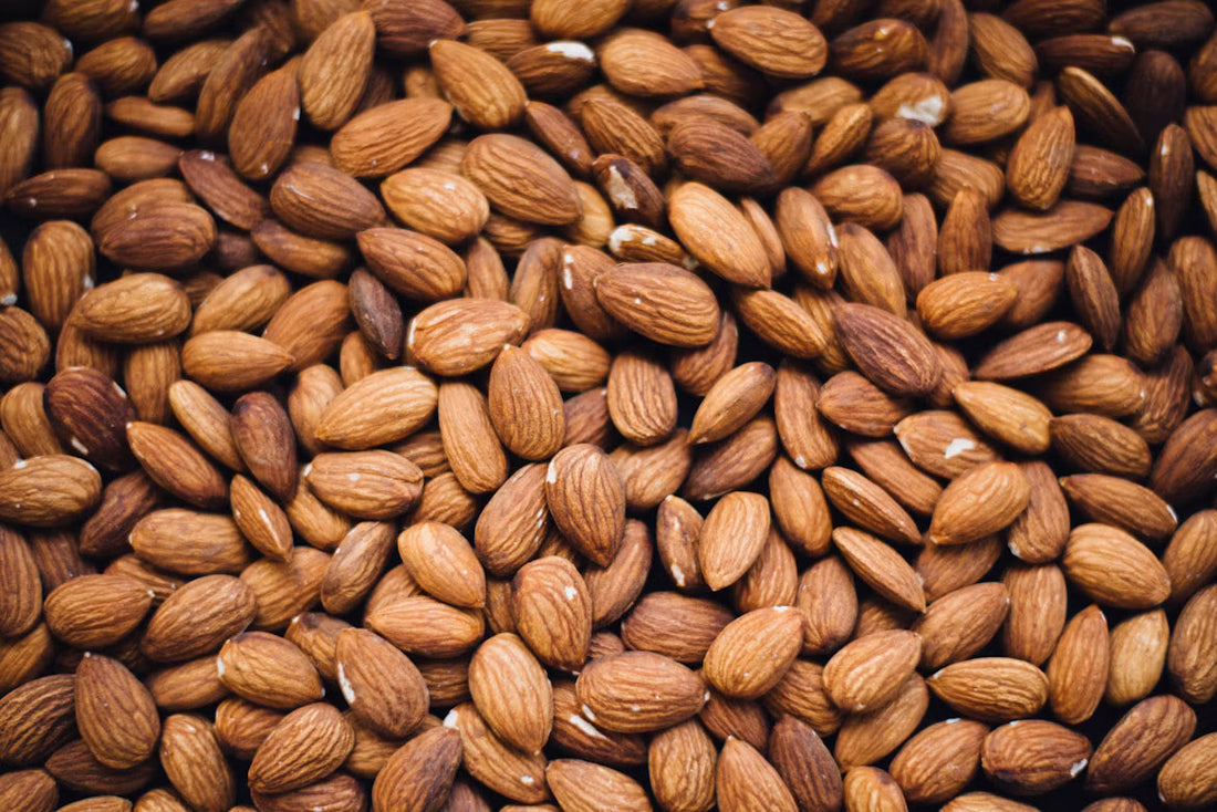 Theobromine for Teeth Enamel: What Research Really Shows About Repair