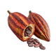 Theobromine