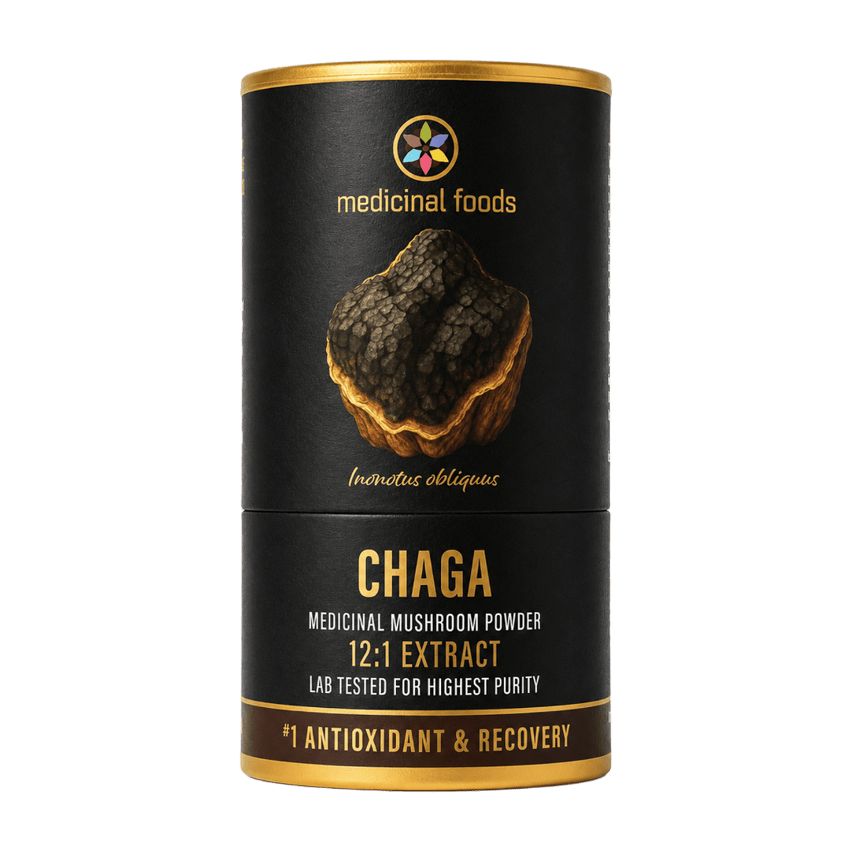 Chaga Mushroom