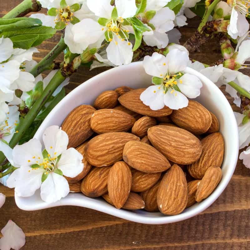 Gourmet Chocolate Covered Sprouted Almonds, photo 2