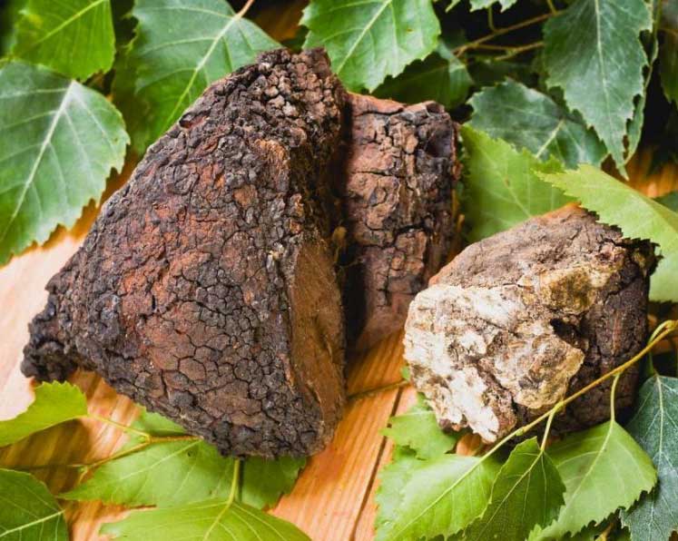 Chaga Mushroom Powder, photo 2
