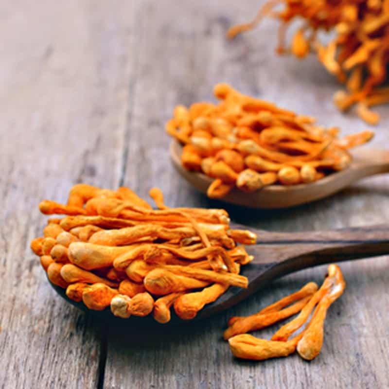Cordyceps Mushroom Powder, photo 3