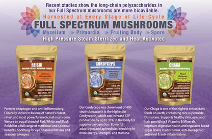 Cordyceps Mushroom Powder, photo 7