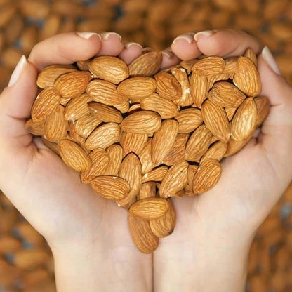 Gourmet Chocolate Covered Sprouted Almonds, photo 3