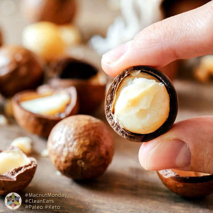 Chocolate Covered Macadamia Nuts, photo 2