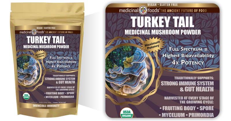 Turkey Tail Mushroom Powder, photo 7